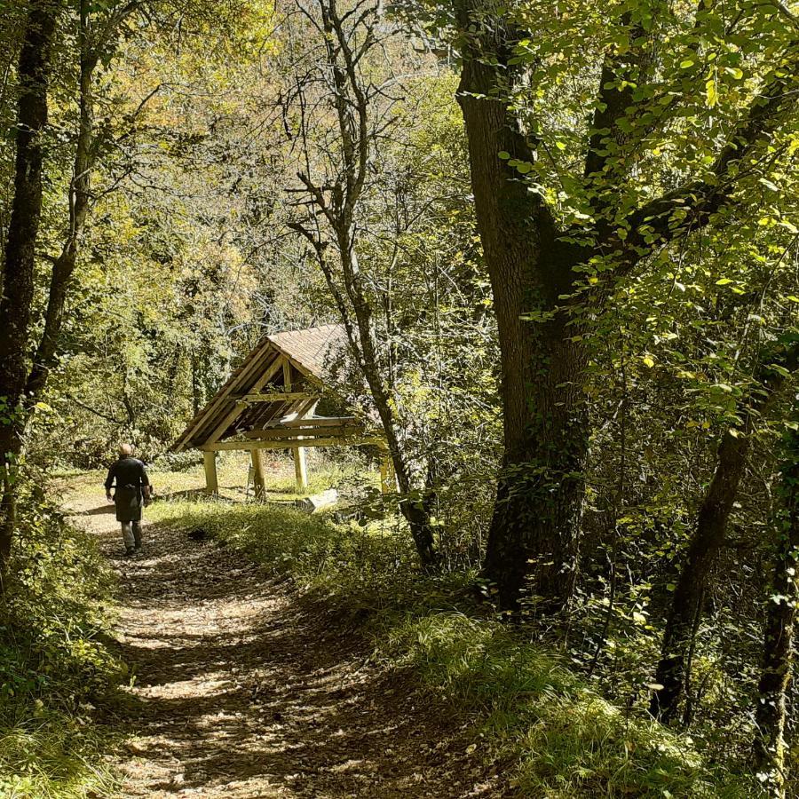 Le Manoir De Carlucet Gite Saint-Crépin-et-Carlucet Εξωτερικό φωτογραφία